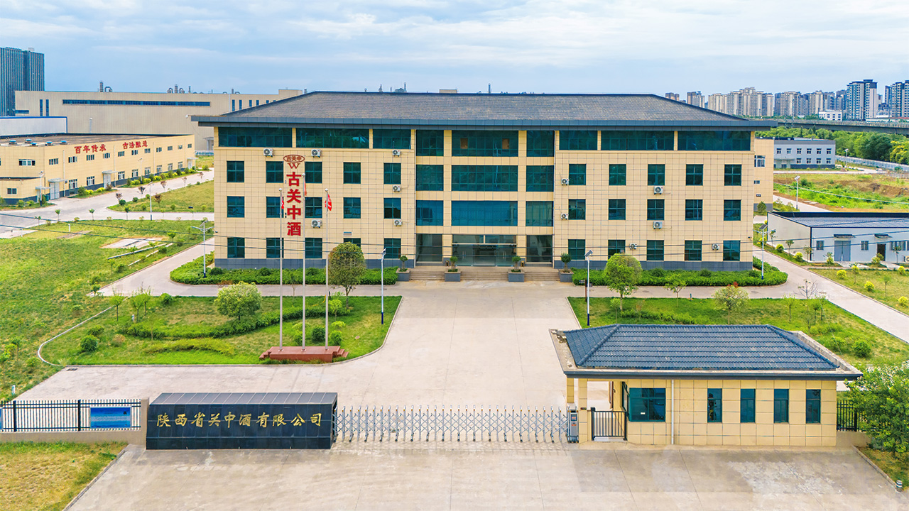 古关中酒独家冠名2025乙已蛇年槐原排灯文化艺术节